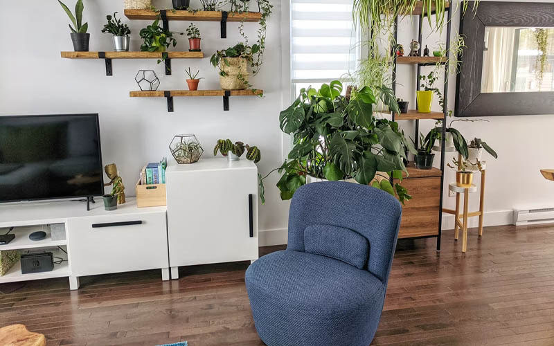 6 Houseplants that Will Improve Your Mood and Overall Health How to