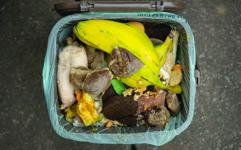 The Best Compost Recipe for Your Home Garden How to Care Of Your