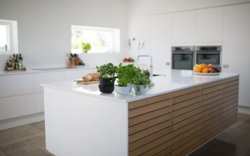 How to Grow Vegetables and Herbs in Your Kitchen How to Care Of Your