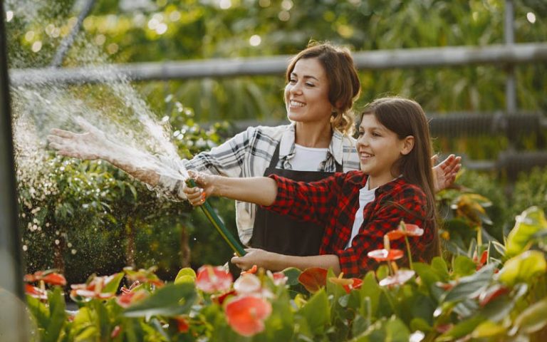 What S The Best Time To Water Plants In Summer How To Care Of Your   Whats The Best Time To Water Plants In Summer 768x480 