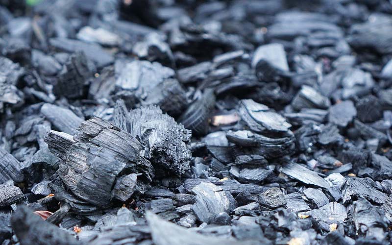 Awesome Charcoal Hacks for Your Garden How to Care Of Your Plants