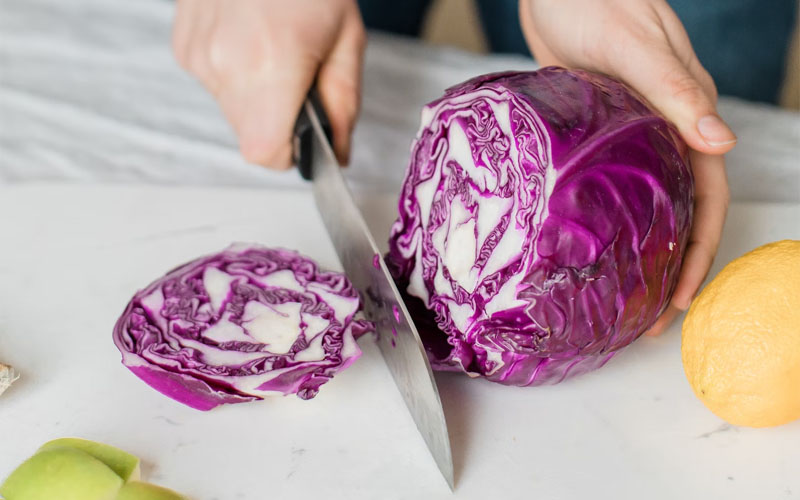 Do Plants Feel Pain? How to Care Of Your Plants Garden/Gardening