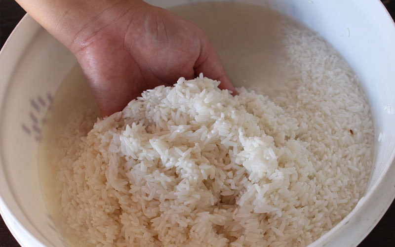 Here’s Why You Should Use Rice Water for Your Plants How to Care Of