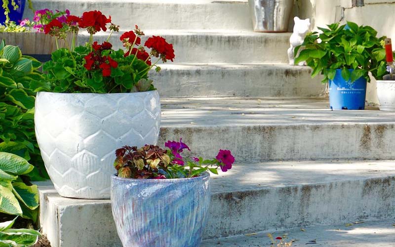 Stop Adding Stones to the Bottom of Flower Pots, Here’s Why How to