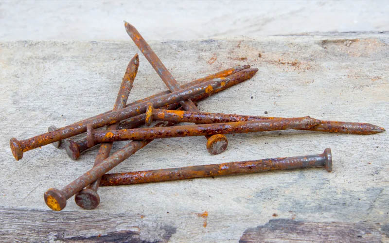 How to Revive Your Plants with Rusty Nails How to Care Of Your Plants