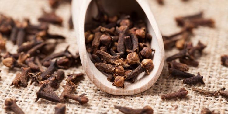 Using Cloves 6 Incredible Uses of Cloves in Your Backyard – How to Care Of Your ...