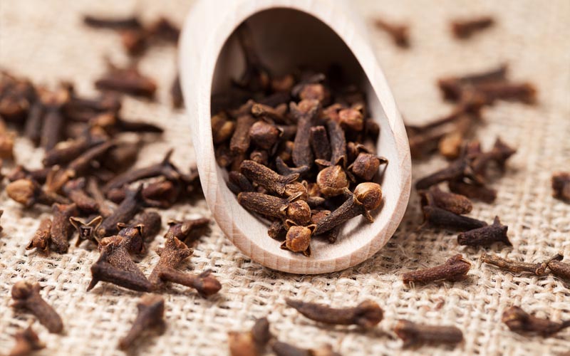 6 Incredible Uses of Cloves in Your Backyard How to Care Of Your
