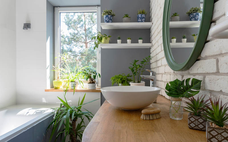 9 of the Best Bathroom Plants That Love Humidity – How to Care Of Your ...