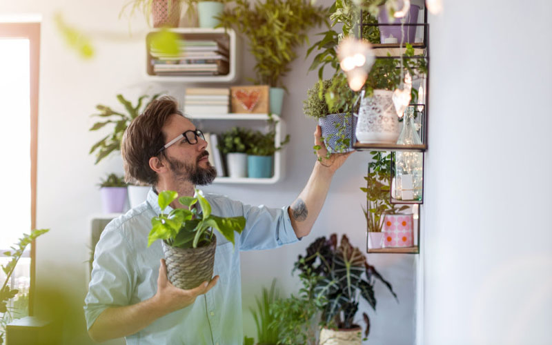 Want Your Plants to Grow Faster? Talk to Them! – How to Care Of Your ...