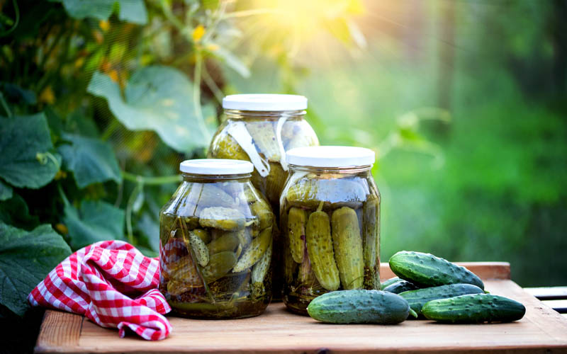 6 Pickle Juice Uses You Will Certainly Need in Your Garden How to