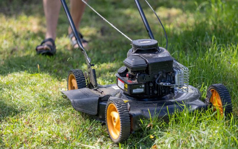 Splash or Stash? The Consequences of Watering PostMow How to Care Of