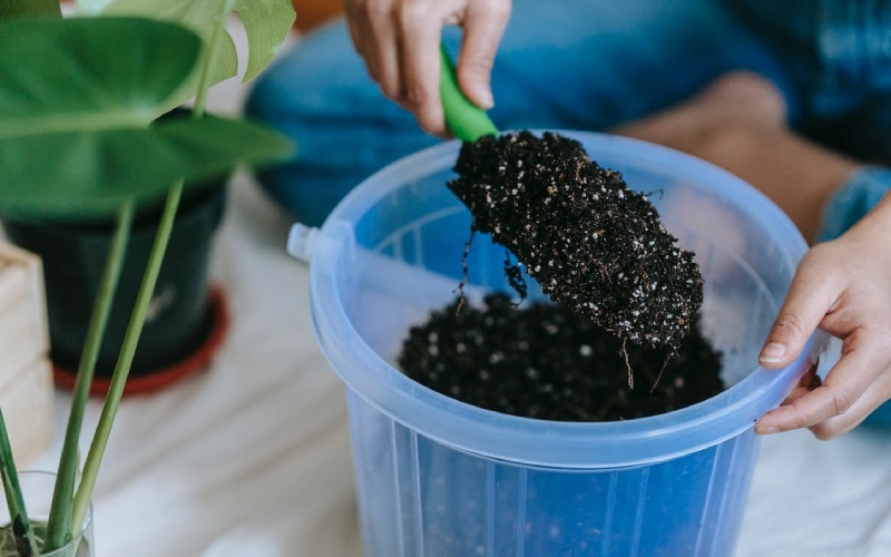 These Common Items Don’t Belong in the Trash Your Soil Needs Them