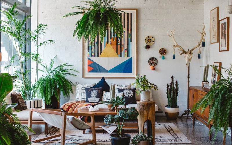 Top 12 Stunning Indoor Plants for Your Living Room – How to Care Of ...