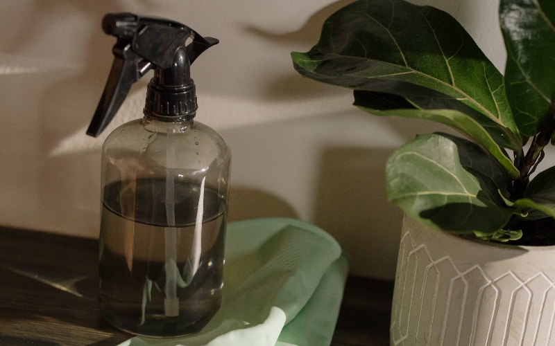 5 Amazing Uses Of Hydrogen Peroxide For Your Home Plants And Garden ...