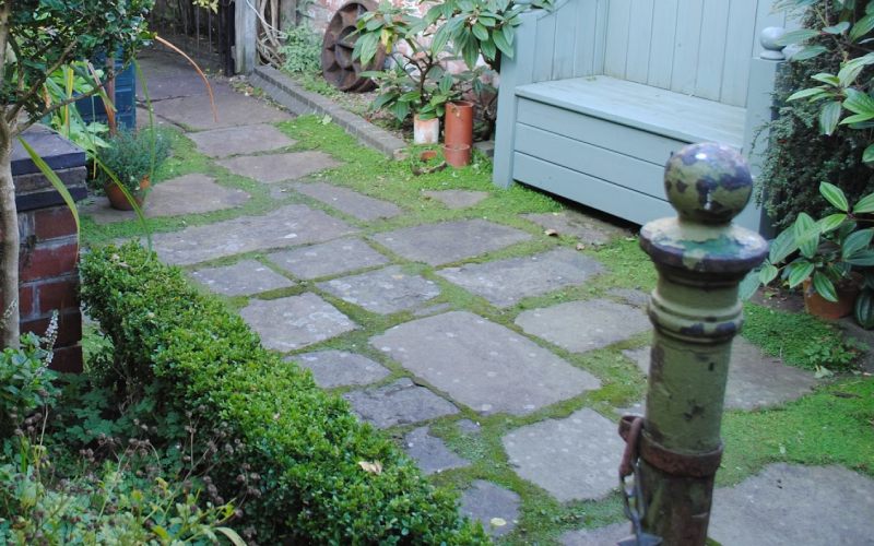 How to Get Rid of Lichen from Patio Paving Slabs with One Product How